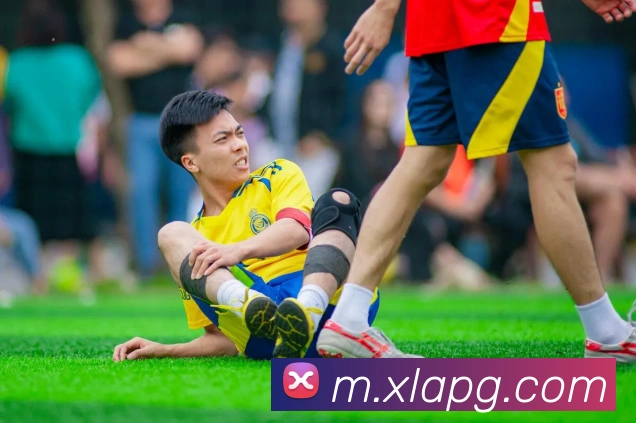 多媒体互动体验