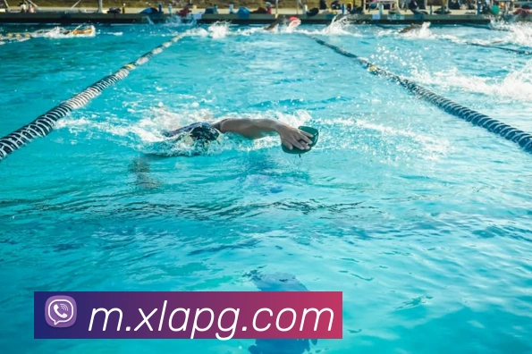 pg电子APP 高清赛事图